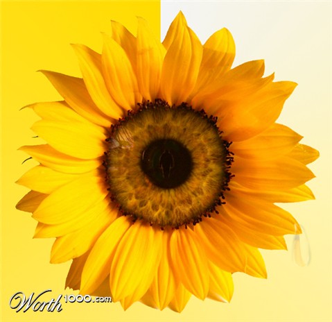 Photoshop Design by ivosevicv