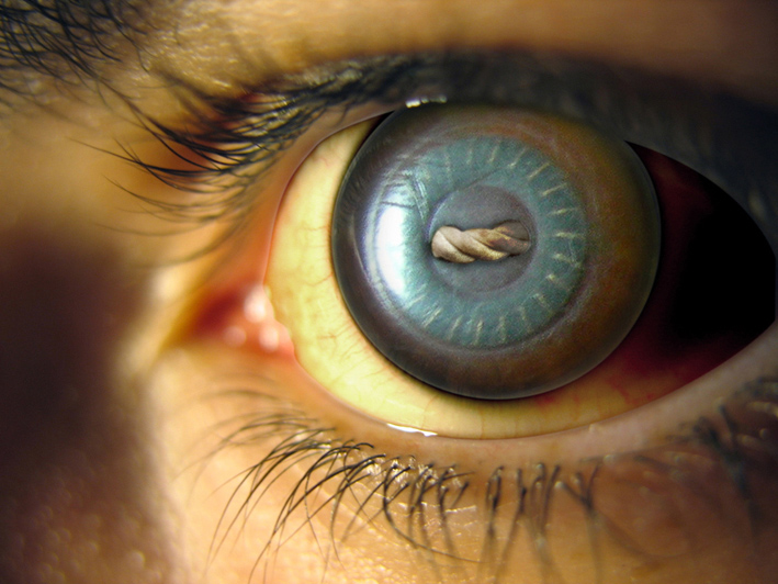 Design Photoshop par blixabar pour DesignCrowd (Community Contests) | Design #9005040