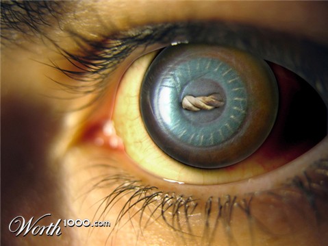 Photoshop Design by blixabar