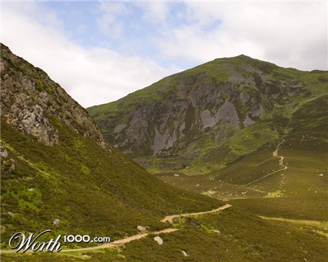 Photography by Massie