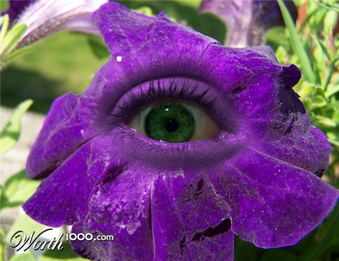 Photoshop Design by Nerdtastic91686