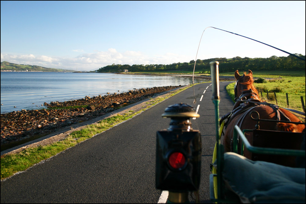 Photography by SigloV for DesignCrowd (Community Contests) | Design #9001990