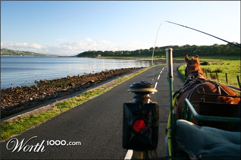 Photography by SigloV