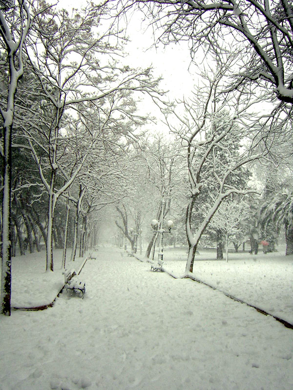 Fotografie von holdenzgz für DesignCrowd (Community Contests) | Design #9002114