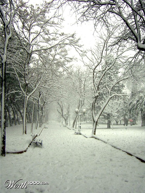 Photography by holdenzgz