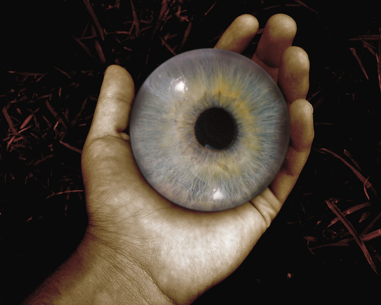 Diseño de Photoshop por zynnya para DesignCrowd (Community Contests) | Diseño #9005103