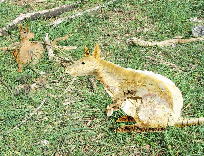 Diseño de Photoshop por someonelse para DesignCrowd (Community Contests) | Diseño #8999105