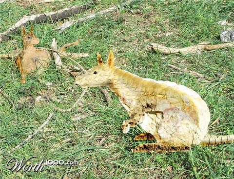 Photoshop Design by someonelse