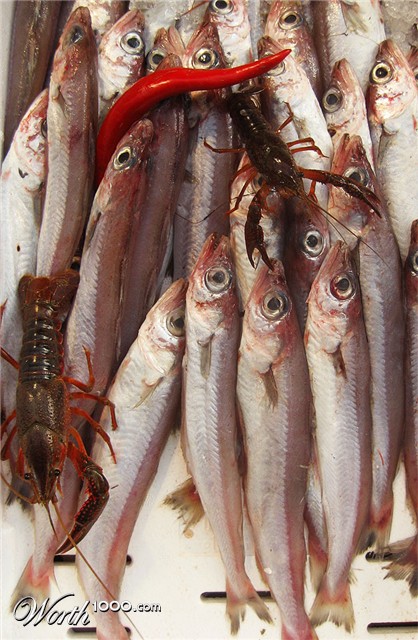 Photography by PozZz85