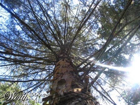 Photography by JCAris