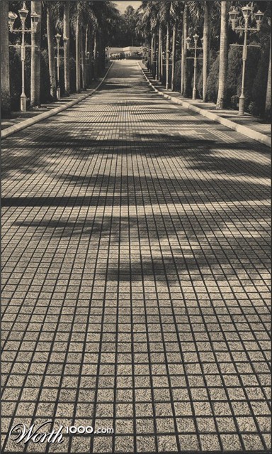Photography by Juicer