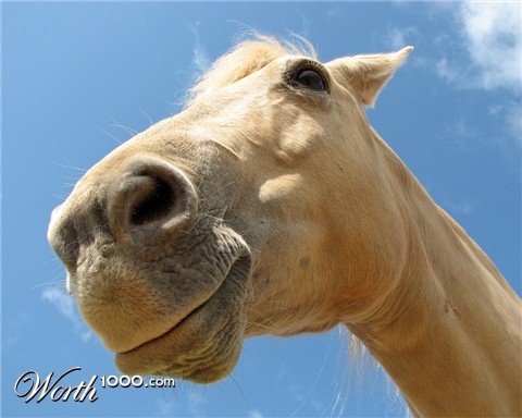 Photography by Momspc