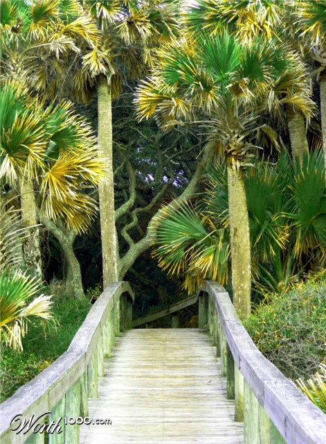 Photography by copr369