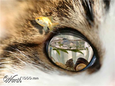 Photoshop Design by chainman