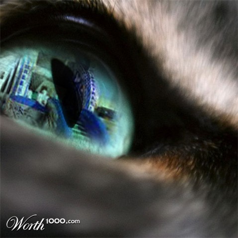 Photoshop Design by nthrash