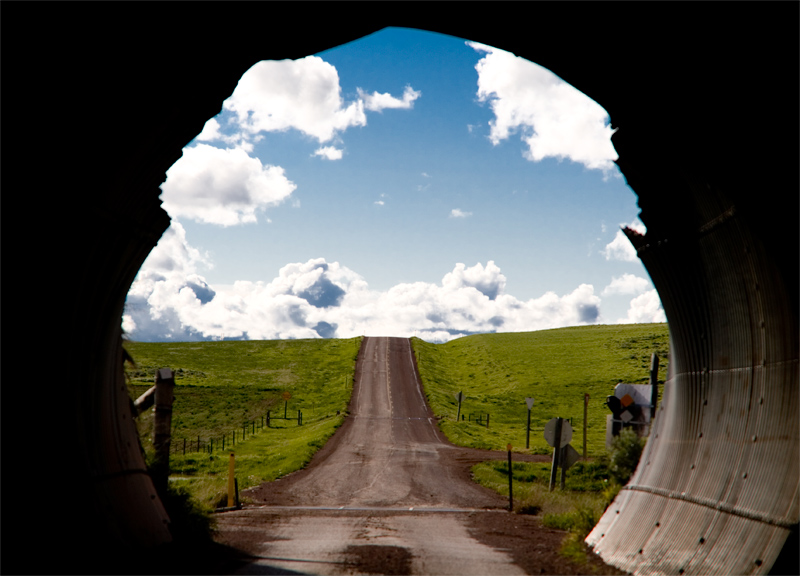 Fotografía por mitchturd para DesignCrowd (Community Contests) | Diseño #9002103