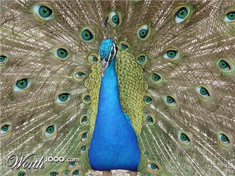 Photoshop Design by kentrel