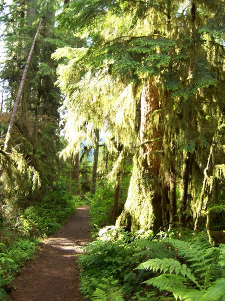 Photography by planetgazer for DesignCrowd (Community Contests) | Design #9002119