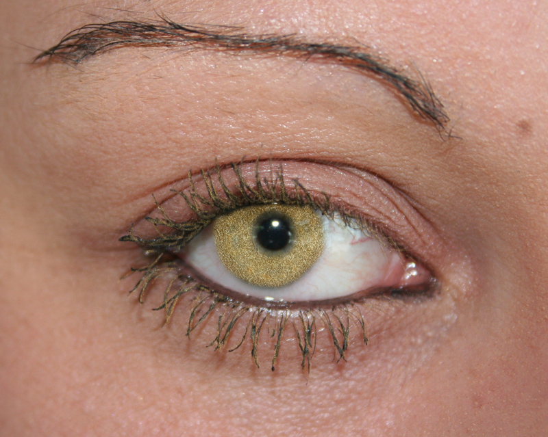 Design Photoshop par sherylphotomagic pour DesignCrowd (Community Contests) | Design #9005235