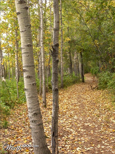 Photography by crattay21cuc