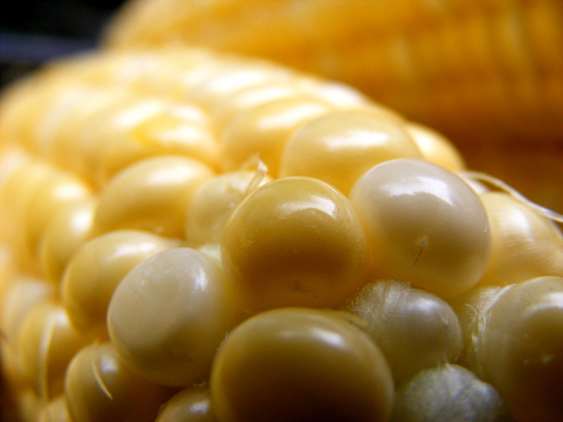 Photography by FamousAsset for DesignCrowd (Community Contests) | Design #9004248