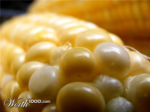 Photography by FamousAsset