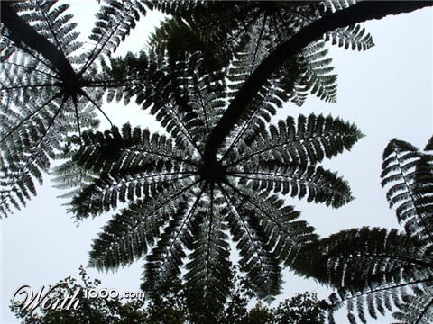 Photography by nzkiwi