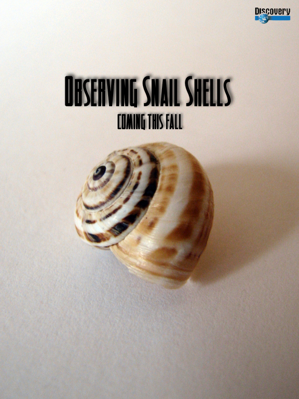 Design Photoshop par kasiban pour DesignCrowd (Community Contests) | Design #8999682