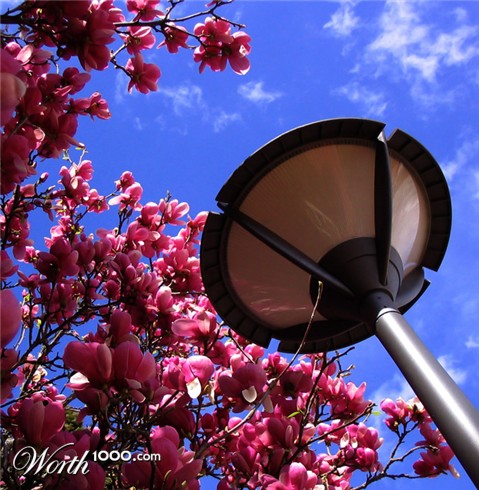 Photography by alicina