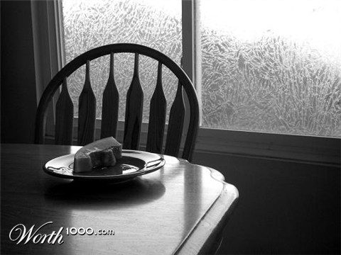 Photography by bestpicturesever