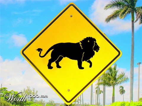 Photoshop Design by purplefriday