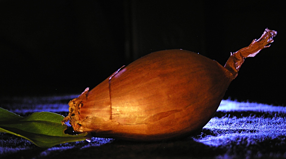 Photography by ercolano for DesignCrowd (Community Contests) | Design #9004298