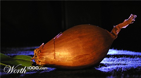 Photography by ercolano