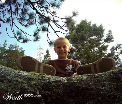 Photography by emily4real