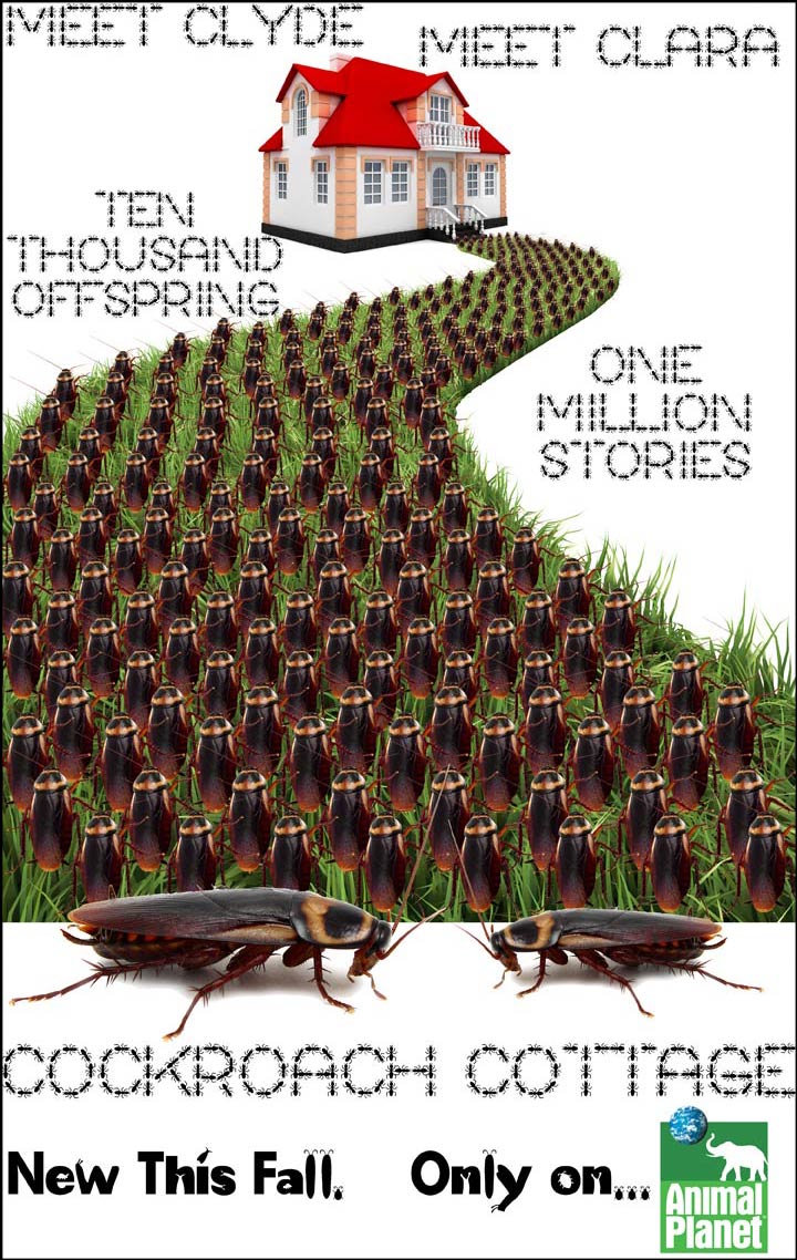 Photoshop Design by moovet for DesignCrowd (Community Contests) | Design #8999793