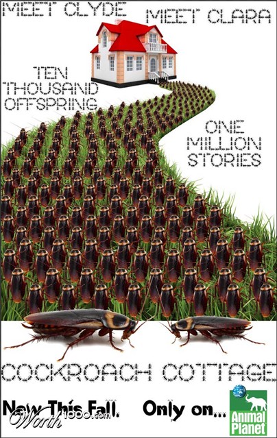 Photoshop Design by moovet