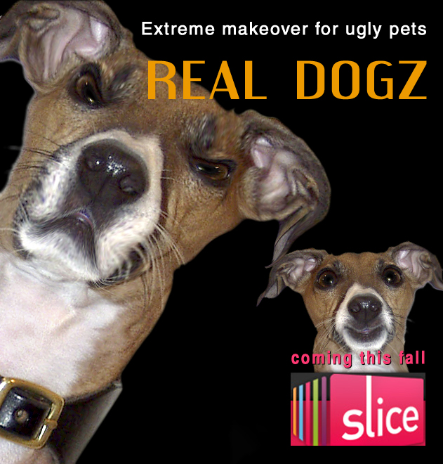 Photoshop Design by MediaRam for DesignCrowd (Community Contests) | Design #8999823