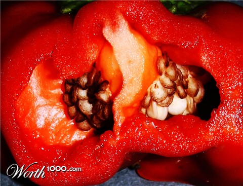 Photography by Seba86