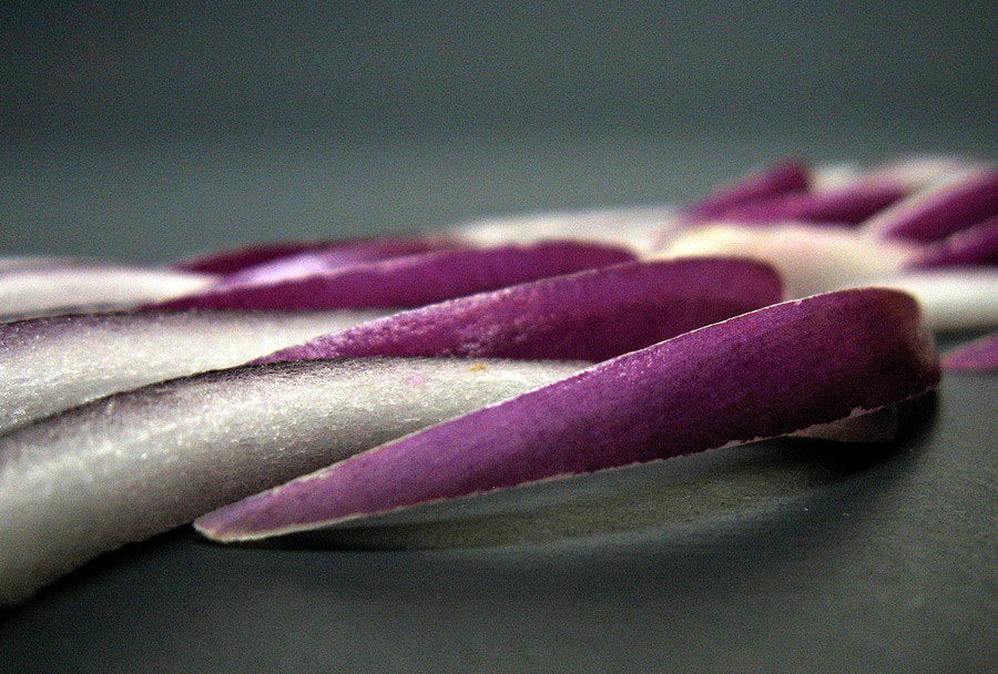 Photography by Anserculus for DesignCrowd (Community Contests) | Design #9004273