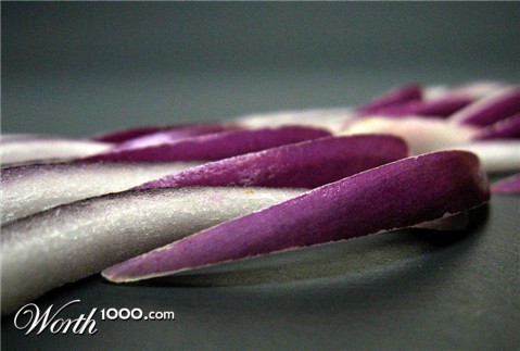 Photography by Anserculus