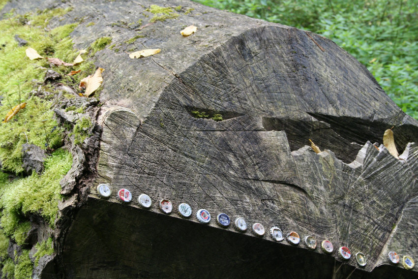 Fotografía por brakwaater para DesignCrowd (Community Contests) | Diseño #8998887