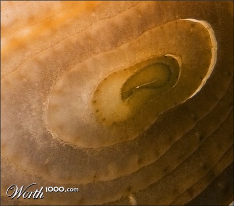 Photography by paul106