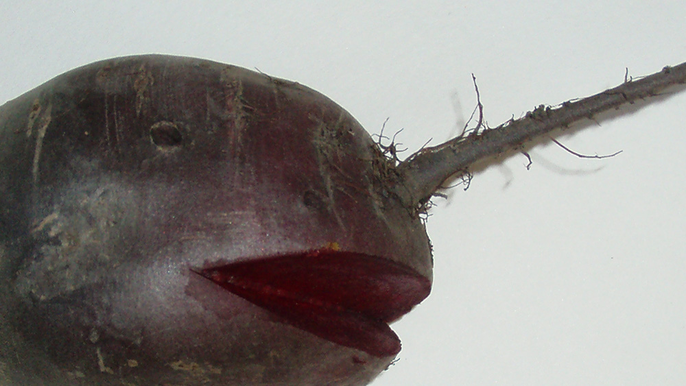 Photography by Nguuju for DesignCrowd (Community Contests) | Design #9004316