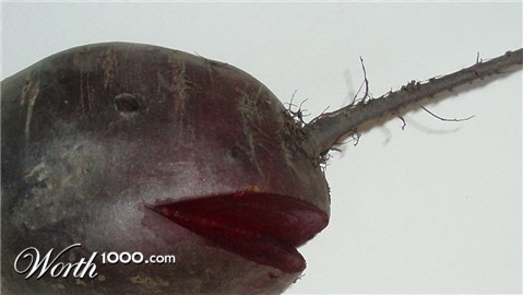 Photography by Nguuju