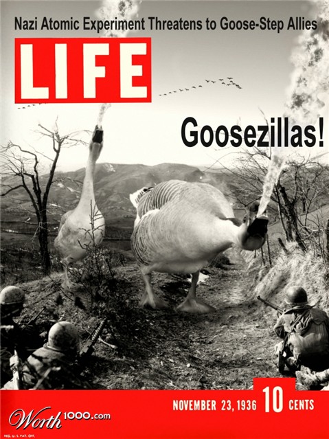 Photoshop Design by HopePhoto