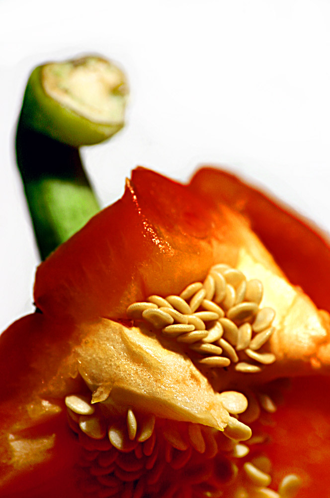 Fotografía por DoubleDizzle para DesignCrowd (Community Contests) | Diseño #9004307