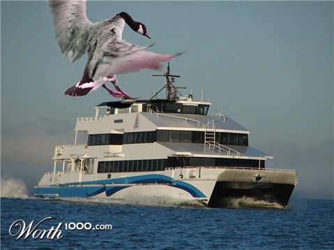 Photoshop Design by frankgf