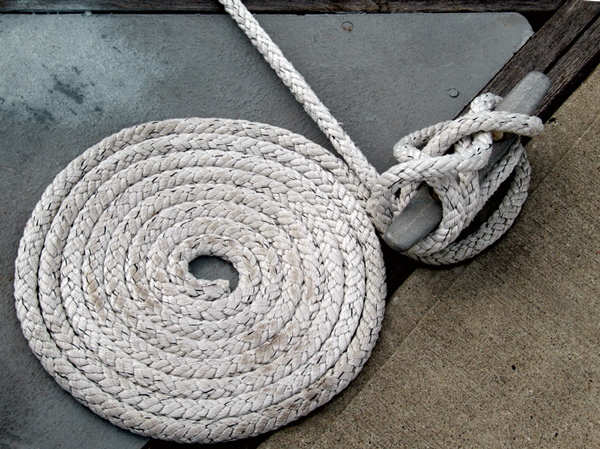 Photography by EyEars for DesignCrowd (Community Contests) | Design #9000465