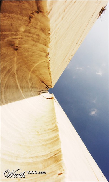 Photography by toscio
