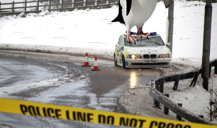 Photoshop Design by danmurrell for DesignCrowd (Community Contests) | Design #9005449